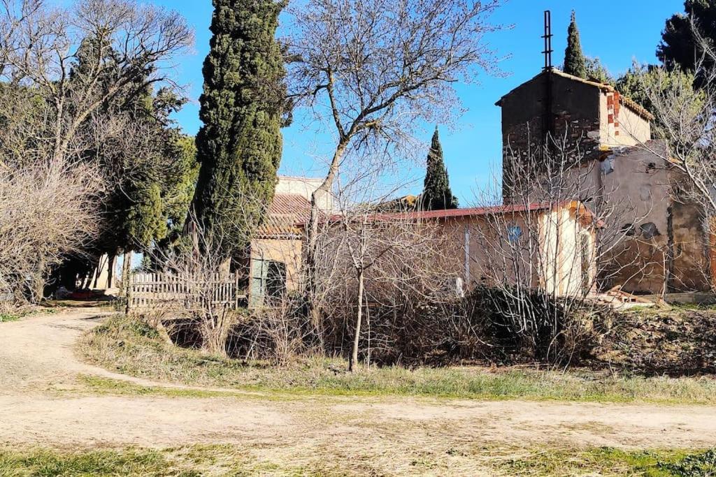 Au Coeur De La Nature Coursan Kültér fotó