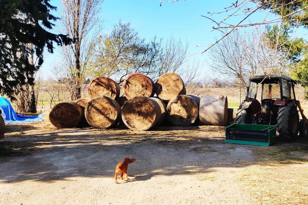 Au Coeur De La Nature Coursan Kültér fotó